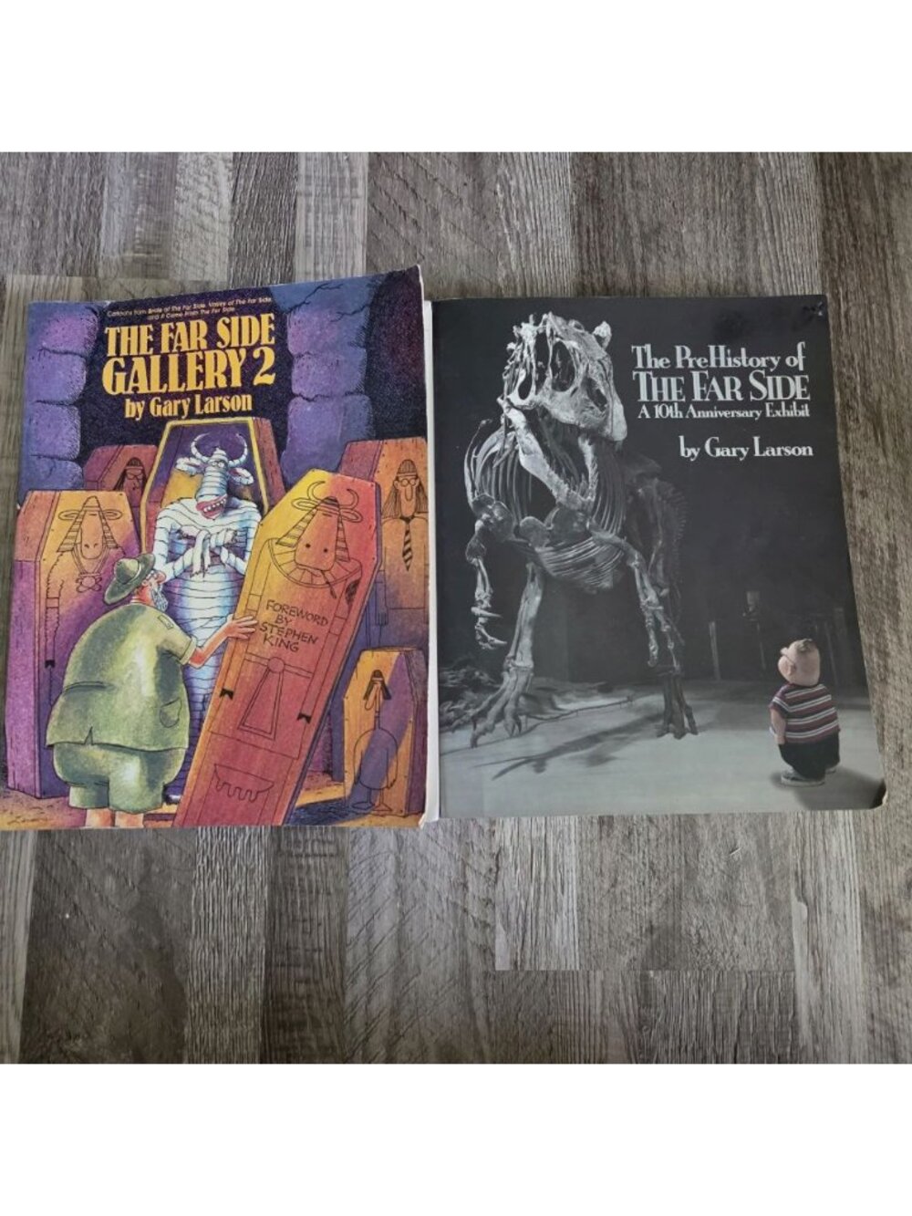 The Far Side Gallery 2 & PreHistory of The Far Side Gary Larson Books